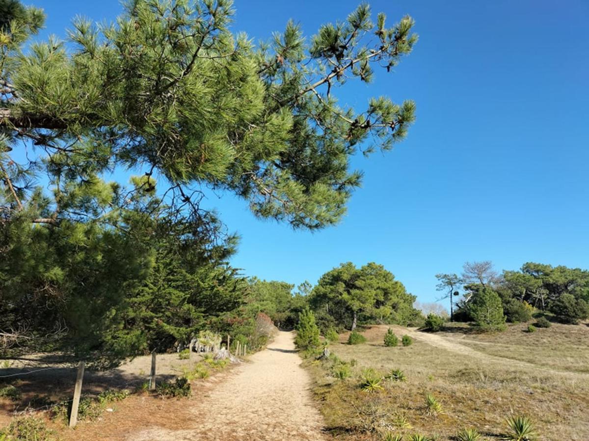 Maison Bord De Mer A Noirmoutier بارْباتْرْ المظهر الخارجي الصورة